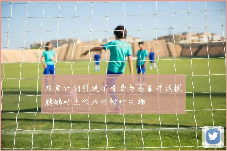 绿军计划引进字母哥与墨菲并试探鹈鹕对杰伦和怀特的兴趣